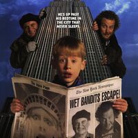 Home Alone 2 Lost In New York Home Alone Wiki Fandom