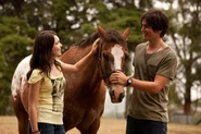 Evie and Josh pats a horse
