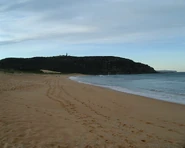 Palm Beach is the set of Summer Bay