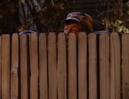 BubbleBubble 29.jpg (16 KB)