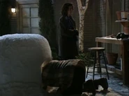 TakingJill 25.jpg (32 KB)