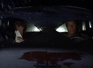 YoureDrivingMeCrazy 12.jpg (14 KB)