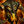 Accursed.jpg