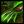 Toxin Claws.jpg