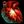 Behemoth's Heart.jpg