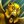 Winged Courier.jpg
