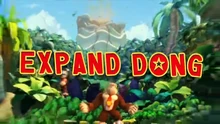 The  for Donkey Kong was 'Expand Dong.' Titles designed by .