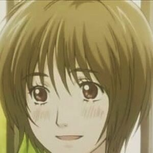 Rika Harada Honey And Clover Wiki Fandom Rika Harada Honey And Clover Wiki Fandom