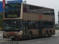 81C