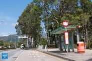 Tai Po Waterfront Park Yuen Shin Road 20190214