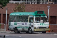 A minibus on Route 44A was passing through Blossom Garden