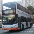 A41P