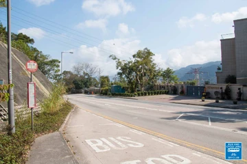 大埔道眺望處 香港巴士大典 Fandom