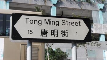 TongMing Sign