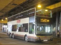 261