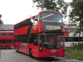 A36