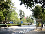 站景（2011年1月）