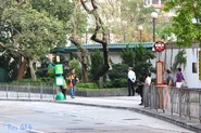 Tai Shing Street 201503.jpg (639 KB) 站景(2015年3月)
