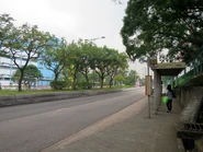 Stop view, with the eastbound stop located on the opposite lane (October 2018)