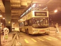 31B
