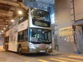 KY2595@36M.jpg (797 KB) 36M