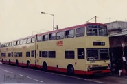 51線在九十年代曾使用都城嘉慕威曼都城（M81-M88）雙層巴士行走