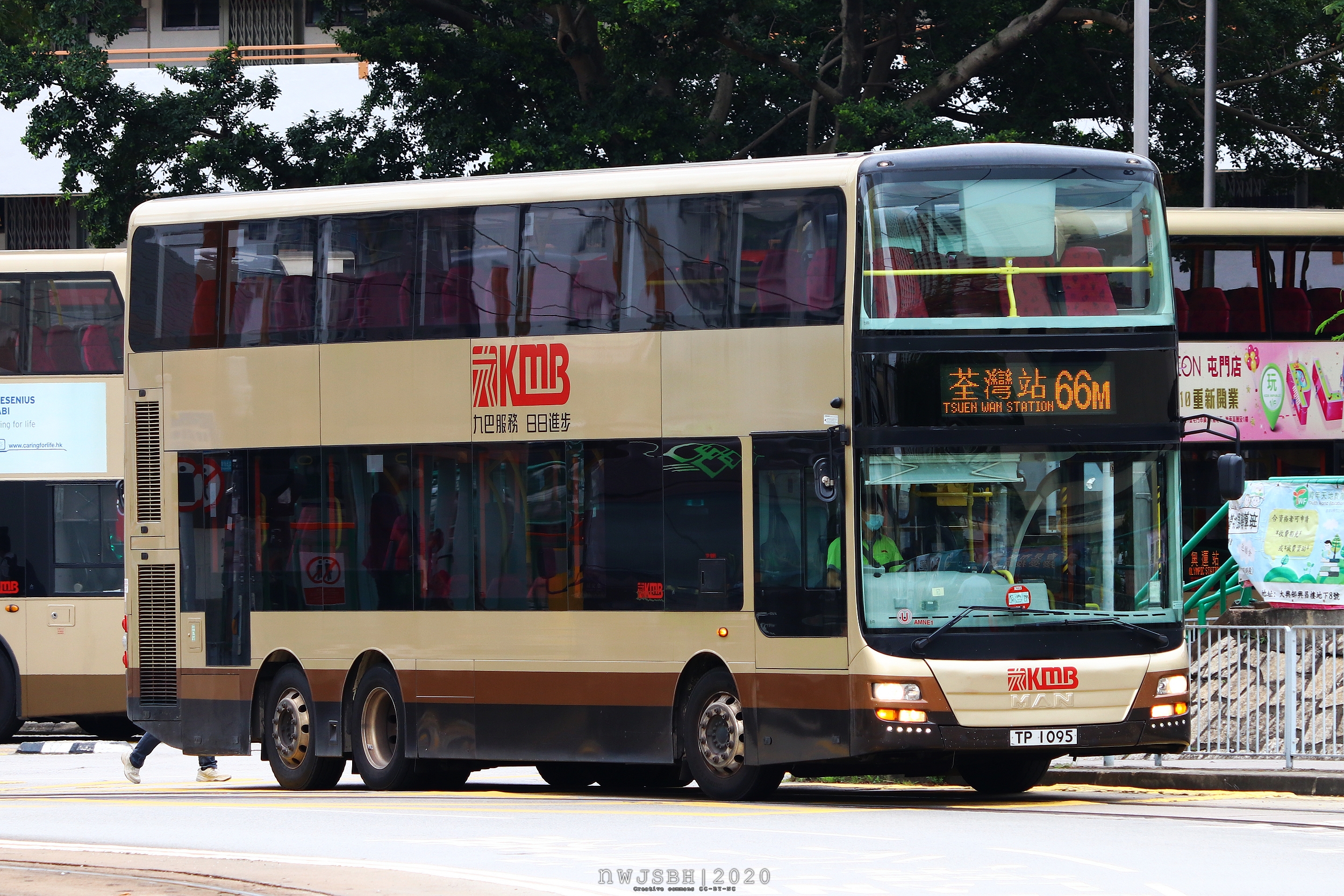 九巴66m線 香港巴士大典 Fandom