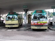 809K及809A線均以沙田站（排頭街）為總站