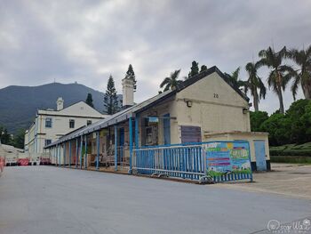 20231114 Lei Yue Mun Park Shuttle Stop