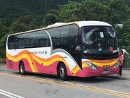 Kwoon Chung Bus VU2980 Free MTR Shuttle Bus S1A 01-07-2019