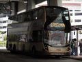 259D