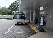 TSW Hospital 20250713 3.jpg (1.03 MB) 站景(2025年7月)