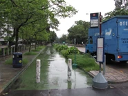 東莞學校