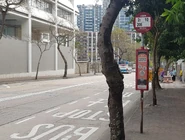 Lancashire Rd 20231116 4.jpg (964 KB) 站景(2023年11月)