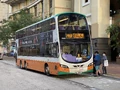 795P