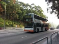 A31