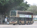 261