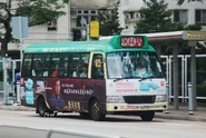 A Route 44 minibu UH6398 is passing through Hoi Chu Road near Tsui Ning Garden
