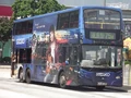 KY6735 75X.jpg (3.66 MB) 75X