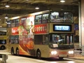 A31P
