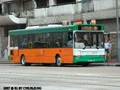 81