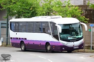 A Scania K280IB (DBAY172) on Route DB02R was running a trip to Discovery Bay Pier