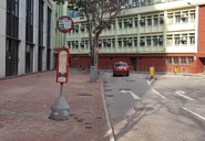 Cotton Path 20240215 2.jpg (942 KB) 站景(2024年2月)