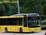 Hong Kong Disneyland Resort Hotel Shuttles
