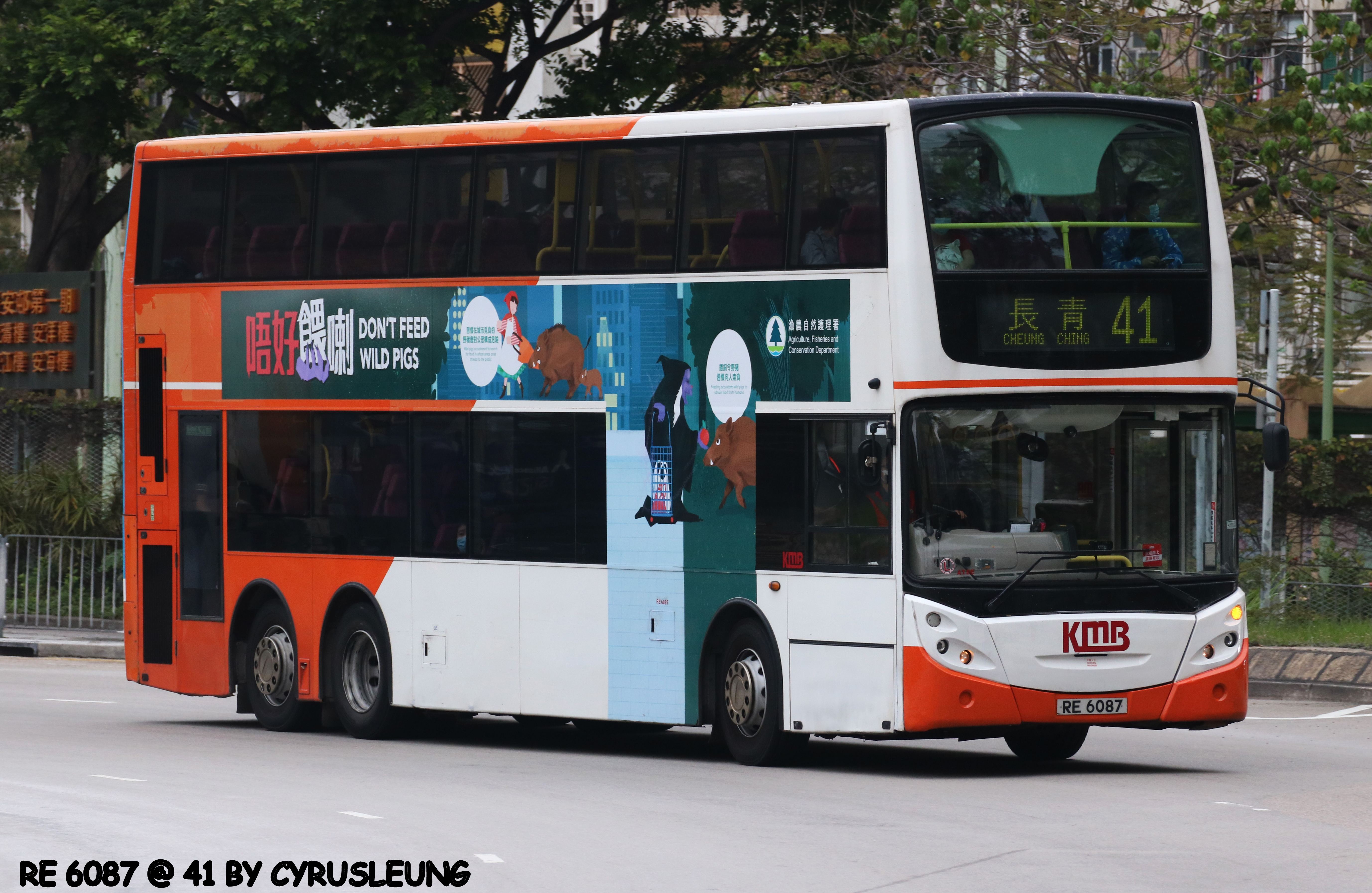 九巴41線| 香港巴士大典| Fandom