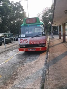 新界專綫小巴82M線