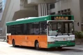 81