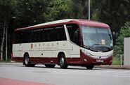 行走4號線的香港中文大學車隊斯堪尼亞K320IB正駛入39區