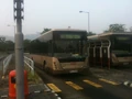 251A