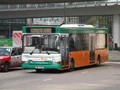 Plaxton車身長Dart
